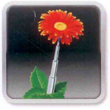 Panolin HLP Synth